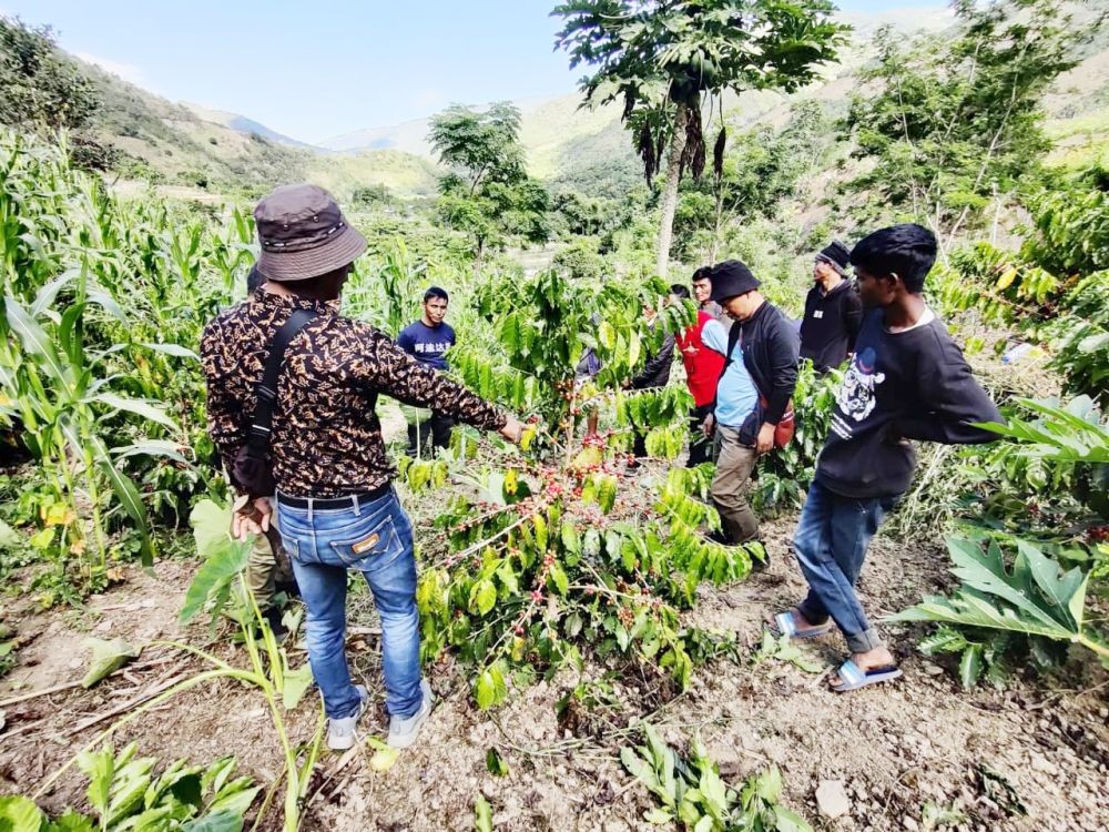 A resource person conducting an in-field demonstration on the process of harvesting coffee.